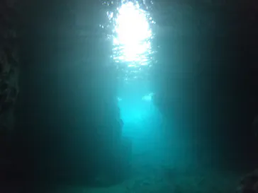 武藤潜水に投稿された画像（2023/5/3）