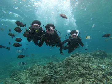 武藤潜水に投稿された画像（2023/5/3）