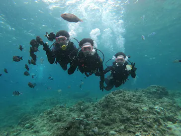 武藤潜水に投稿された画像（2023/5/3）
