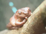 天王寺動物園に投稿された画像（2023/5/3）