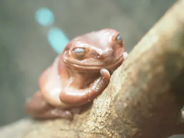 天王寺動物園に投稿された画像（2023/5/3）