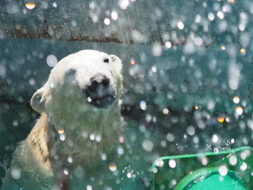 天王寺動物園に投稿された画像（2023/5/3）