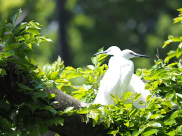 天王寺動物園に投稿された画像（2023/5/3）