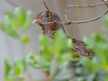 天王寺動物園に投稿された画像（2023/5/3）