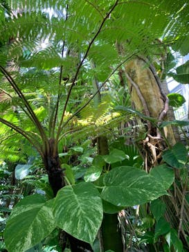 アロハガーデンたてやまに投稿された画像（2023/5/3）