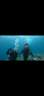 武藤潜水に投稿された画像（2023/5/3）