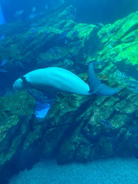 仙台うみの杜水族館に投稿された画像（2023/5/3）