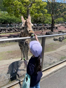 伊豆アニマルキングダムに投稿された画像（2023/5/3）