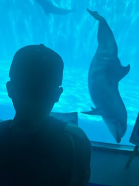 名古屋港水族館に投稿された画像（2023/5/3）