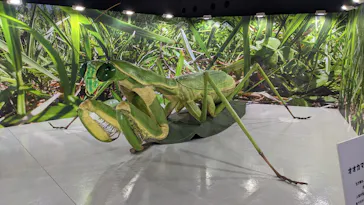 ひらかたパークに投稿された画像（2023/5/3）