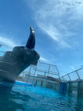 南知多ビーチランド＆南知多おもちゃ王国に投稿された画像（2023/5/3）