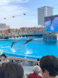名古屋港水族館に投稿された画像（2023/5/3）
