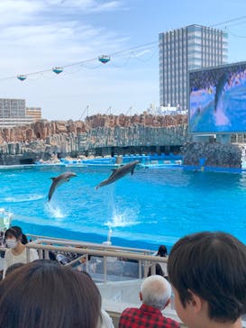 名古屋港水族館に投稿された画像（2023/5/3）