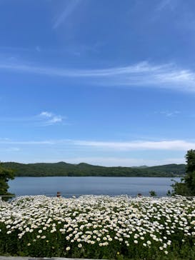 博物館 明治村に投稿された画像（2023/5/3）