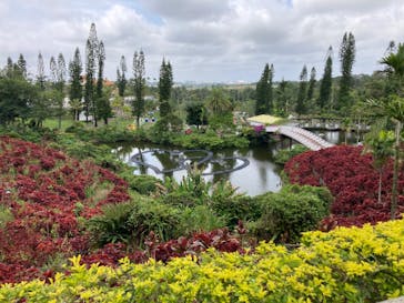 美らヤシパークオキナワ・東南植物楽園に投稿された画像（2023/5/3）