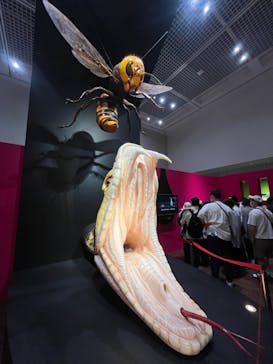 特別展「毒」に投稿された画像（2023/5/3）