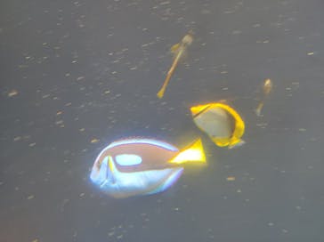 環境水族館アクアマリンふくしまに投稿された画像（2023/5/3）