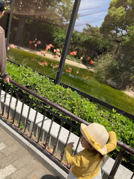 天王寺動物園に投稿された画像（2023/5/3）