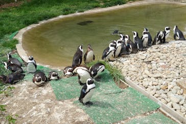 那須どうぶつ王国に投稿された画像（2023/5/3）