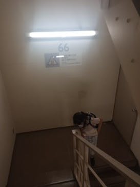 横浜ランドマークタワー 69階展望フロア スカイガーデンに投稿された画像（2023/5/3）