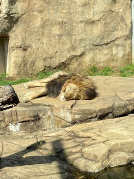 千葉市動物公園に投稿された画像（2023/5/3）