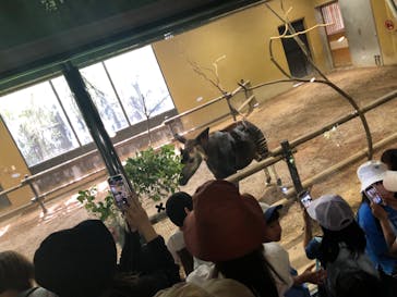 よこはま動物園ズーラシアに投稿された画像（2023/5/3）