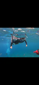 武藤潜水に投稿された画像（2023/5/3）