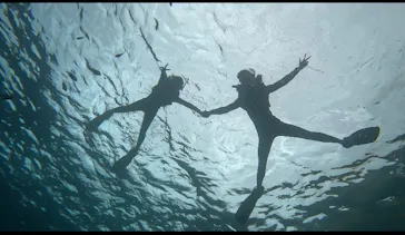 武藤潜水に投稿された画像（2023/5/3）