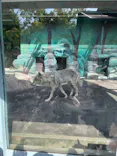 天王寺動物園に投稿された画像（2023/5/3）