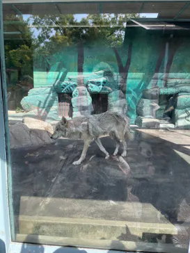 天王寺動物園に投稿された画像（2023/5/3）