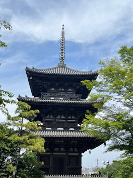 三溪園に投稿された画像（2023/5/3）