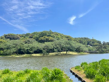 三溪園に投稿された画像（2023/5/3）