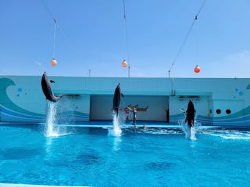 南知多ビーチランド＆南知多おもちゃ王国に投稿された画像（2023/5/3）