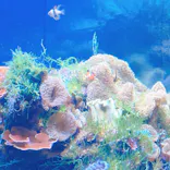 名古屋港水族館に投稿された画像（2023/5/3）
