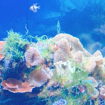 名古屋港水族館に投稿された画像（2023/5/3）