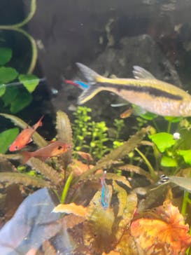 サンシャイン水族館に投稿された画像（2023/5/3）