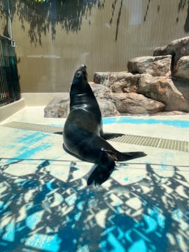 サンシャイン水族館に投稿された画像（2023/5/3）