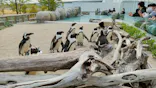 仙台うみの杜水族館に投稿された画像（2023/5/3）