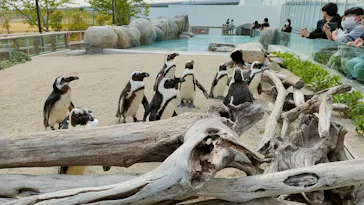 仙台うみの杜水族館に投稿された画像（2023/5/3）