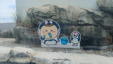 仙台うみの杜水族館に投稿された画像（2023/5/3）