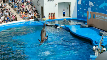 仙台うみの杜水族館に投稿された画像（2023/5/3）