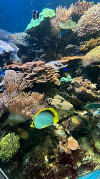 株式会社Gに投稿された画像（2023/5/3）