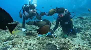 武藤潜水に投稿された画像（2023/5/3）