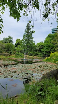 京成バラ園に投稿された画像（2023/5/3）