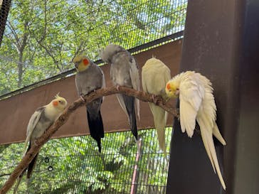 伊豆アニマルキングダムに投稿された画像（2023/5/3）