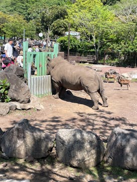 伊豆アニマルキングダムに投稿された画像（2023/5/3）