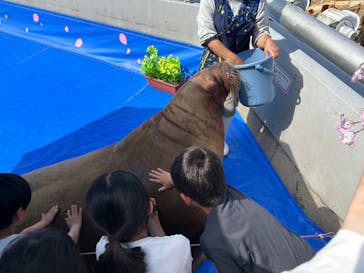 大分マリーンパレス水族館 「うみたまご」に投稿された画像（2023/5/3）