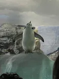 名古屋港水族館に投稿された画像（2023/5/3）