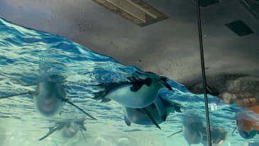 名古屋港水族館に投稿された画像（2023/5/3）