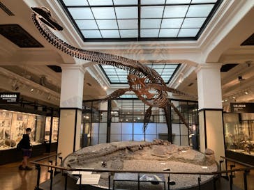 国立科学博物館に投稿された画像（2023/5/3）